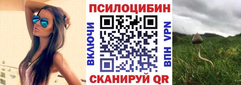 МЕГА ONION  Яранск  Галлюциногенные грибы ЛСД 